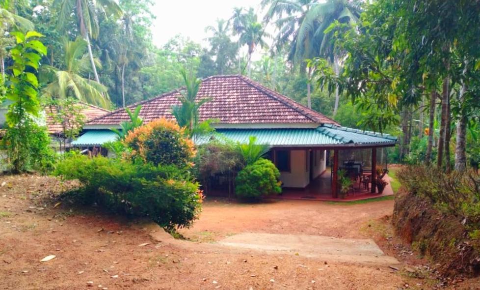 Hiriketiya Green Hill Home Dikwella Ngoại thất bức ảnh